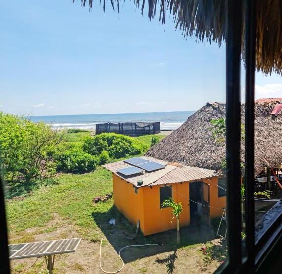 هاستل Surfing Turtle Lodge
