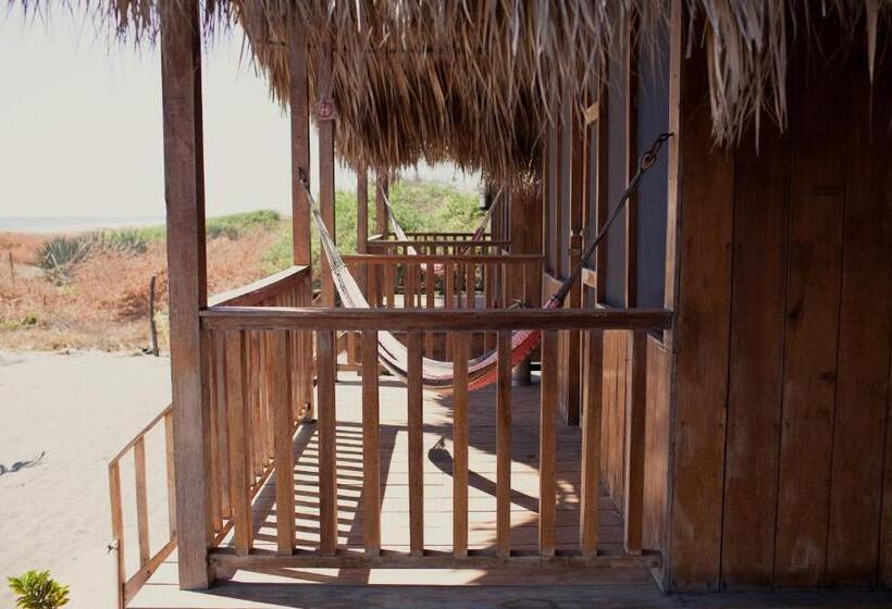 هاستل Surfing Turtle Lodge