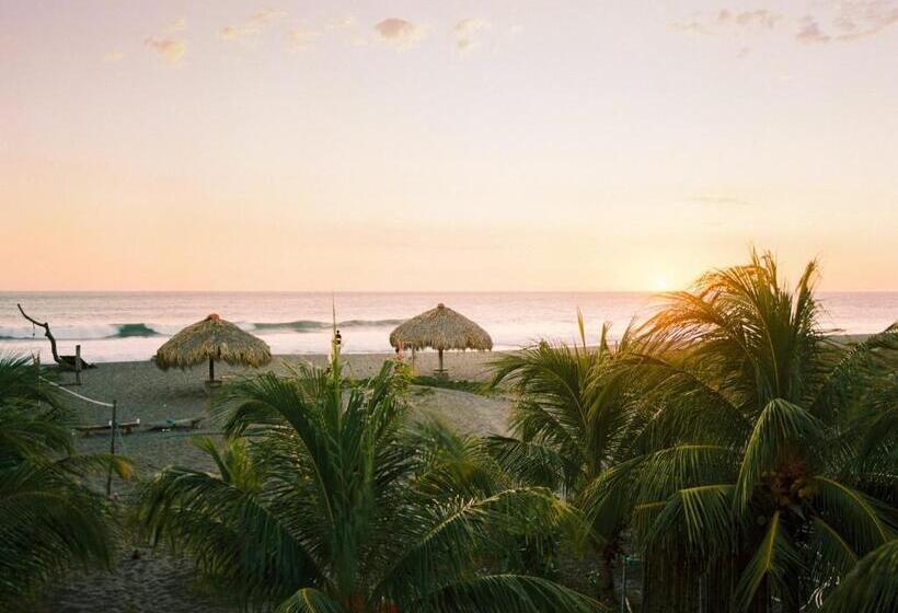هاستل Surfing Turtle Lodge