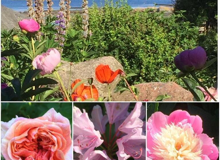 צימר Lådfabriken