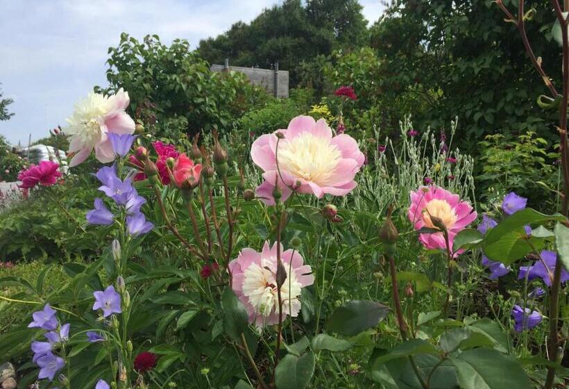 צימר Lådfabriken