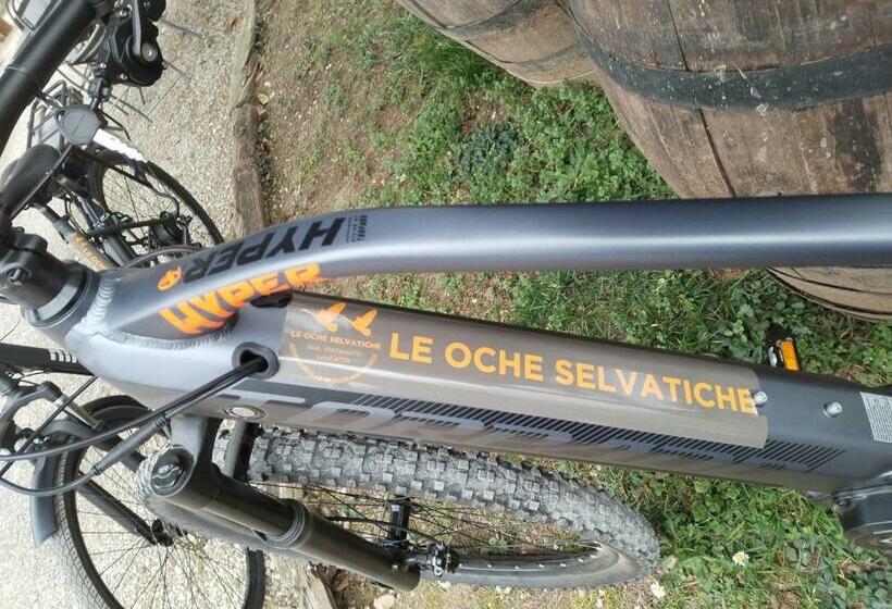 فندق Agriturismo Le Oche Selvatiche