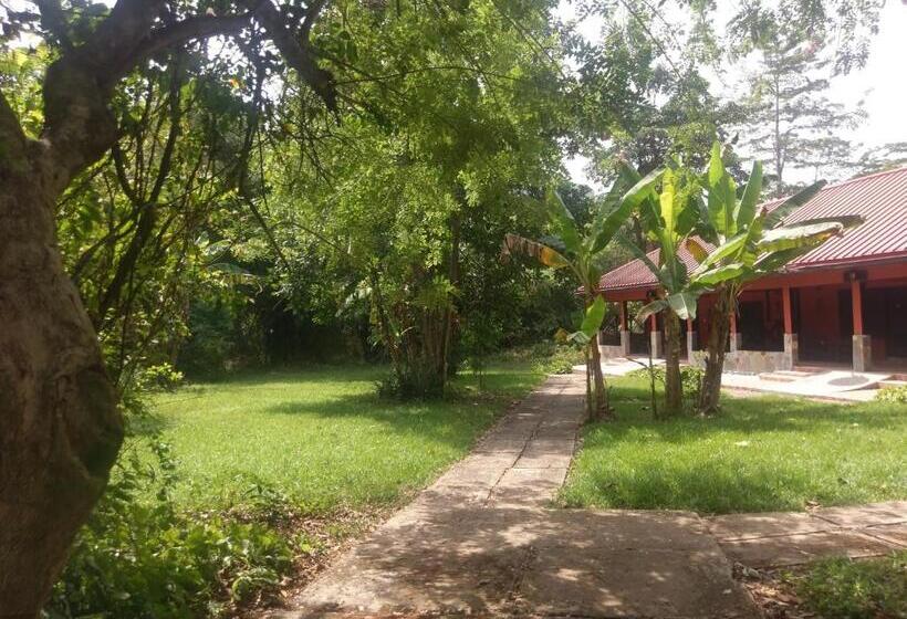 فندق Big Foot Safari Lodge