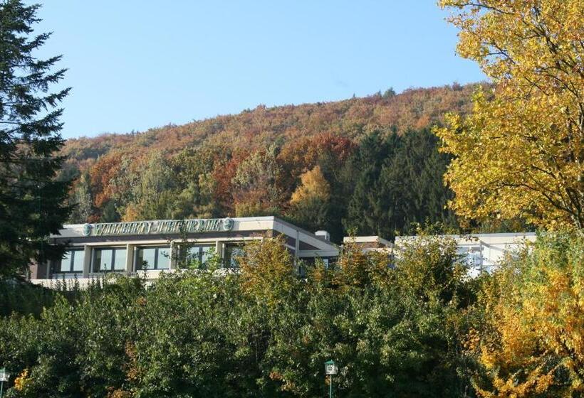 Отель Wiehen Therme