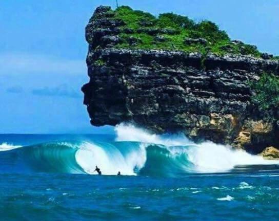פנסיון Arrys Watukarung Surfcamp
