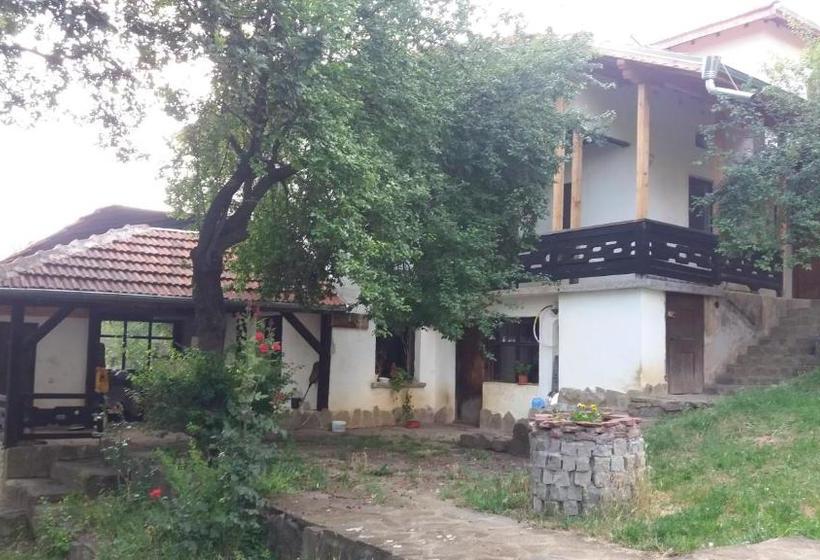بنسيون Chuchi Guest House 1