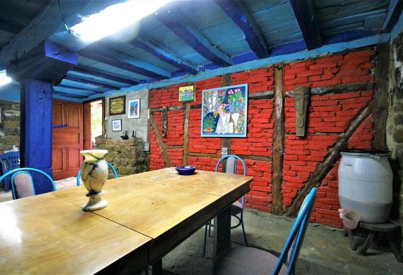 بنسيون Chuchi Guest House 1