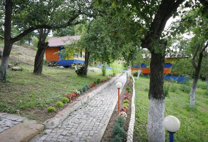 بنسيون Chuchi Guest House 1
