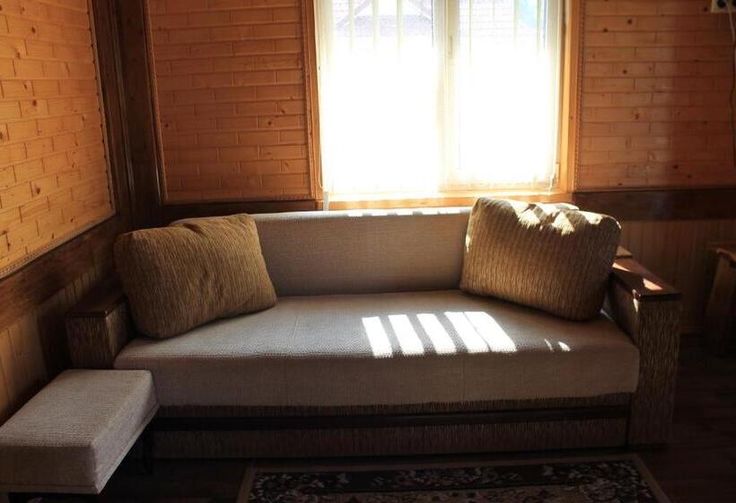 بنسيون Cottage U Yaremy Mykulychyn