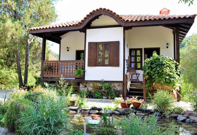بنسيون Golden Horn Guest House