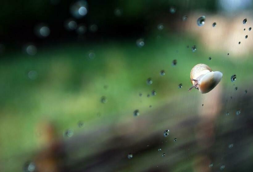 بنسيون Guesthouse Karaivan