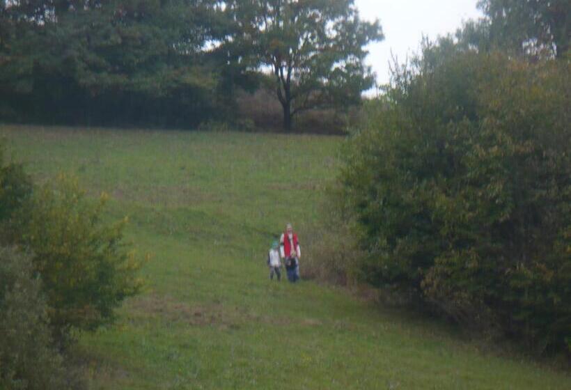 Pensiune Marginimea Sibiului