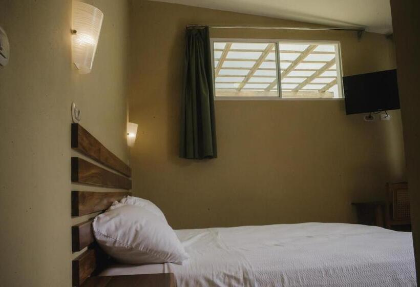 Pizzeria Colisseo B & B