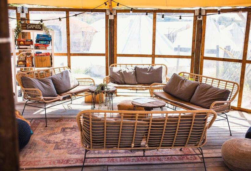 ユースホステル Surfana Beach Bed & Breakfast Bloemendaal