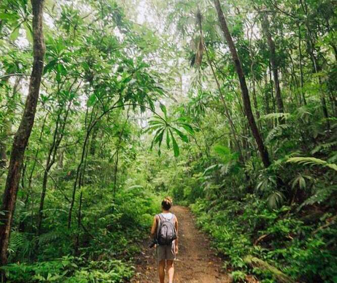 ユースホステル Tourist Center Of  Tours Of Panamá