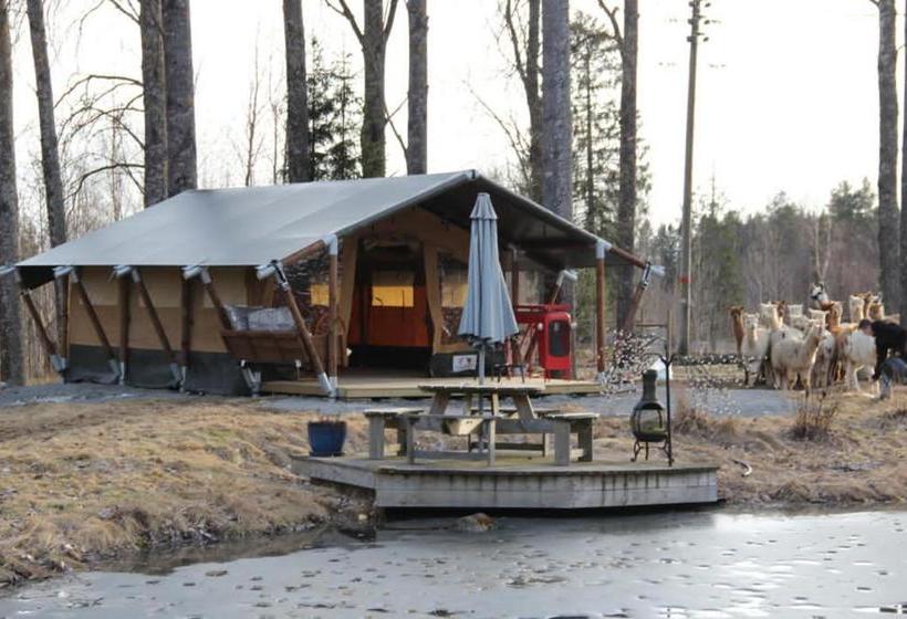 ベッドアンドブレックファースト Norrängens Alpacka   Det Lilla Boutiquehotellet Med En Fluffy Twist