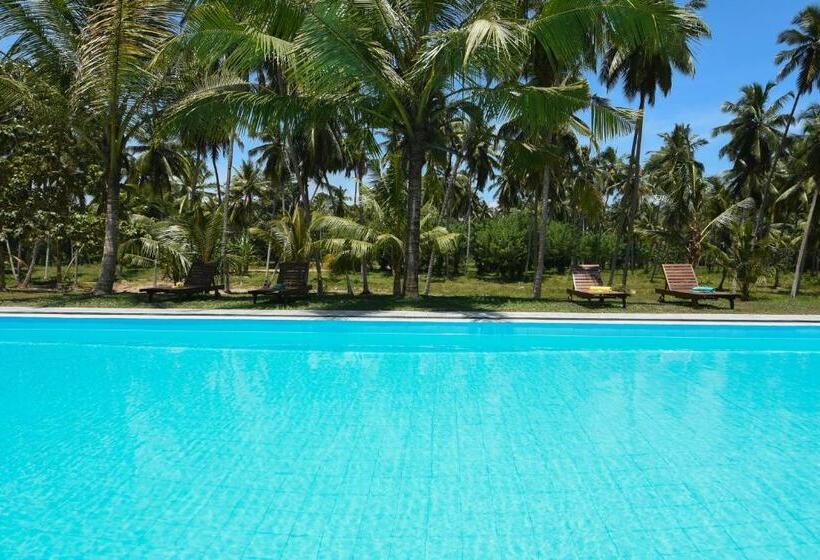 ホテル Ambarella Lodge   Katunayake