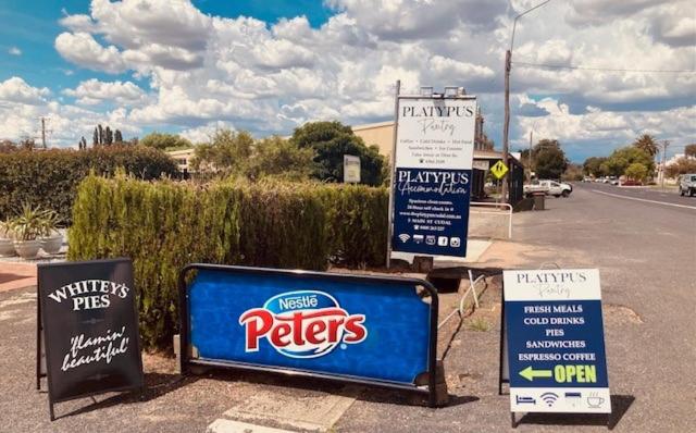 モーテル The Platypus Accommodation & Cafe