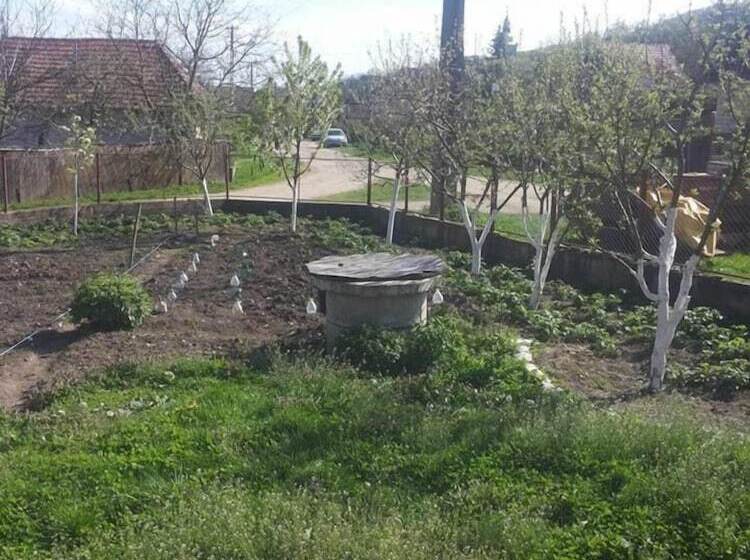 Badesti Farm House
