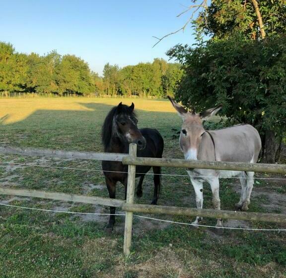 تختخواب و صبحانه La Petite Ferme