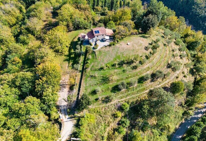 Graceful Cottage In Vergemoli With Private Fenced Garden