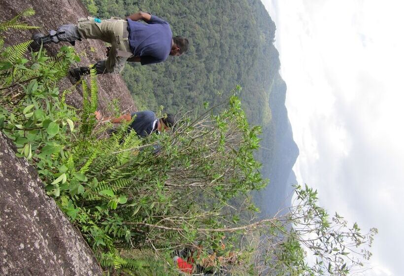 فندق Explorer By Eco Team   Sinharaja