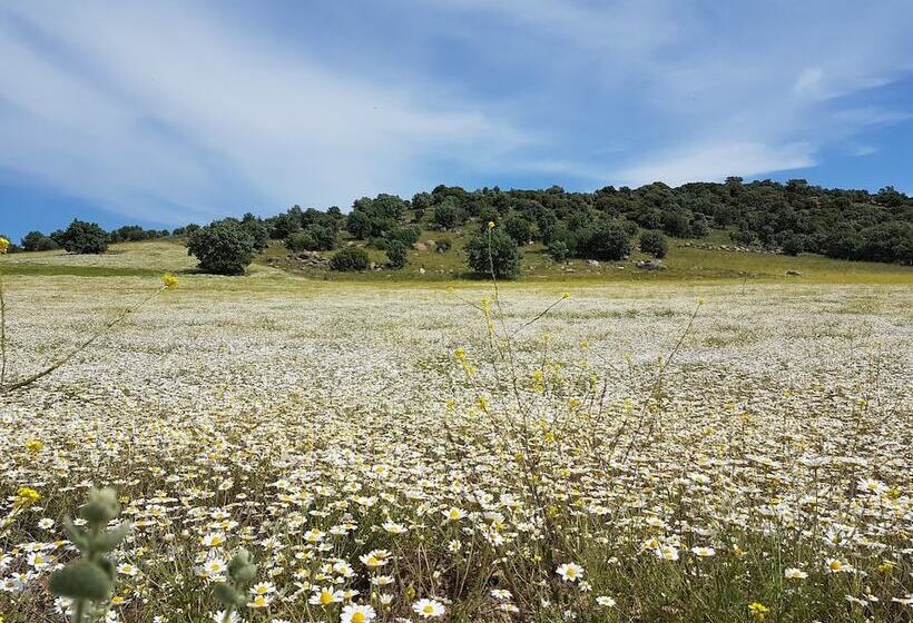 בית מלון כפרי Alterna Koy Evi