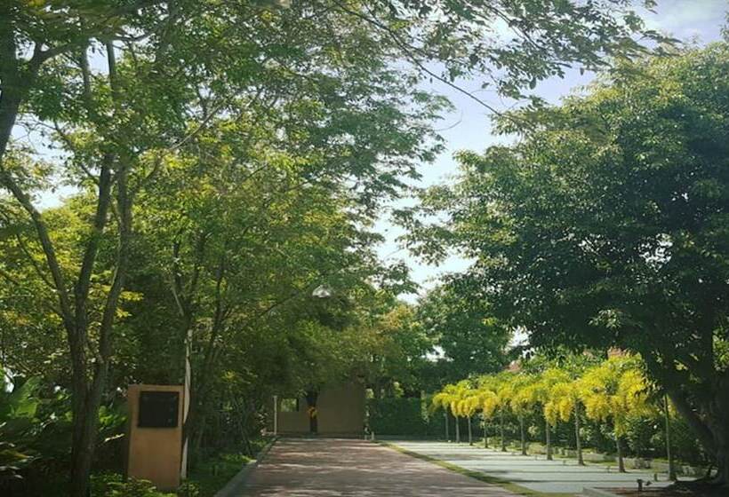هتل Arcadia Resort