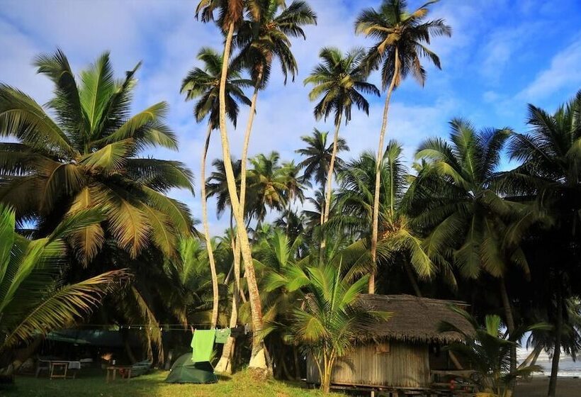 ペンション Beyin Eco Beach Camp
