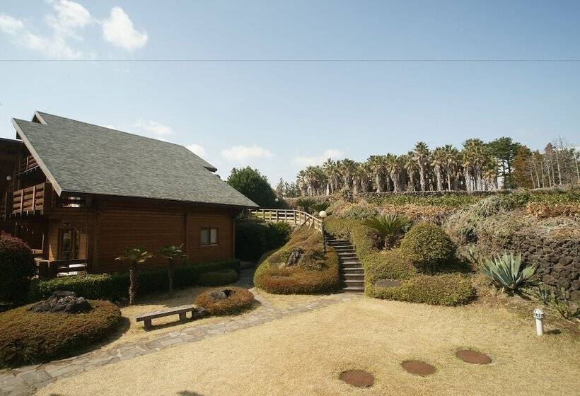فندق Sunnyday Jeju