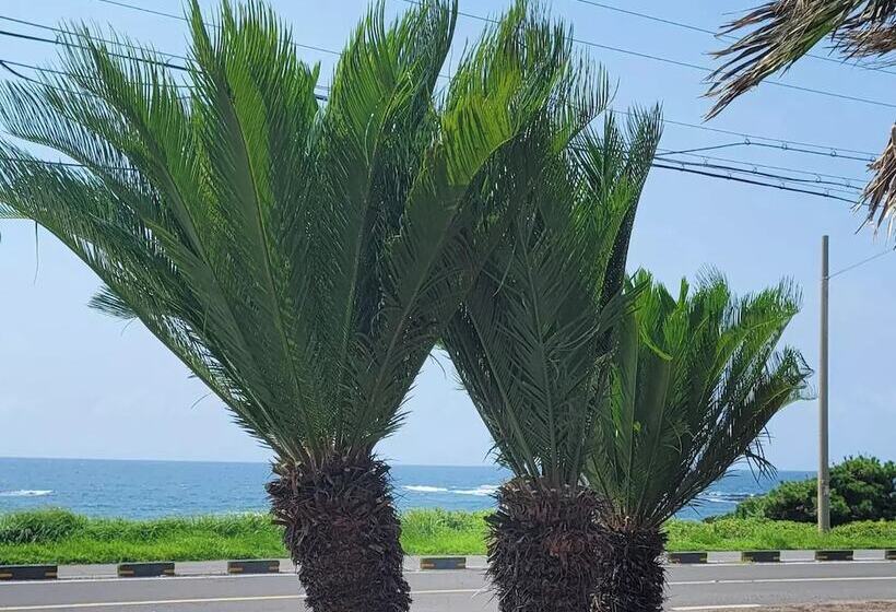 בית מלון כפרי Wind House