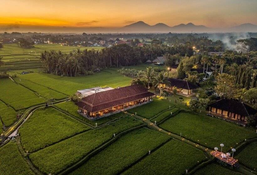 هتل Tanah Gajah, A Resort By Hadiprana