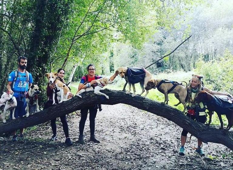 هاستل Pensión Alecer