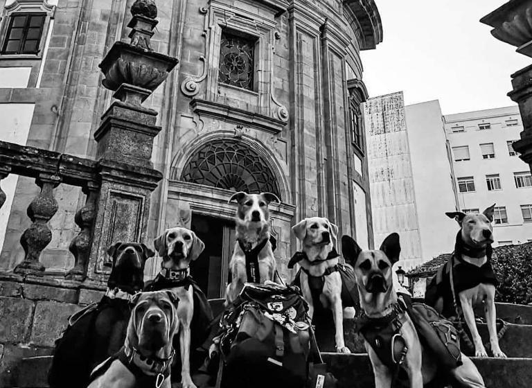 هاستل Pensión Alecer