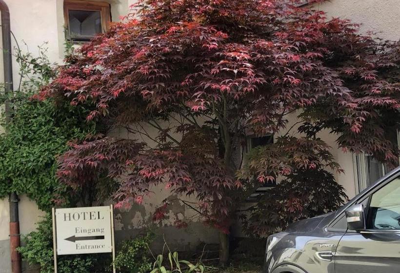 צימר Kastanienbaum