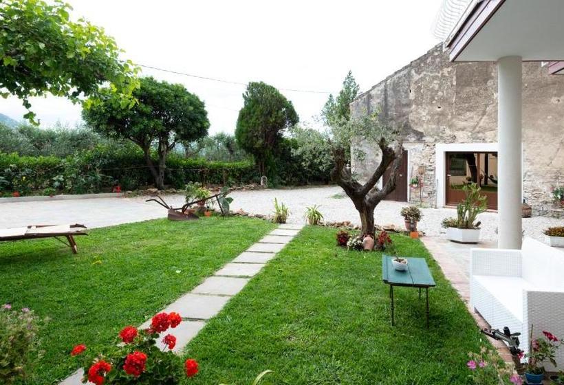 Dimora Iannelli   B&b Rurale Paestum