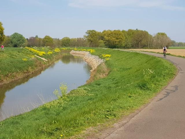 تختخواب و صبحانه Boslucht Leuven