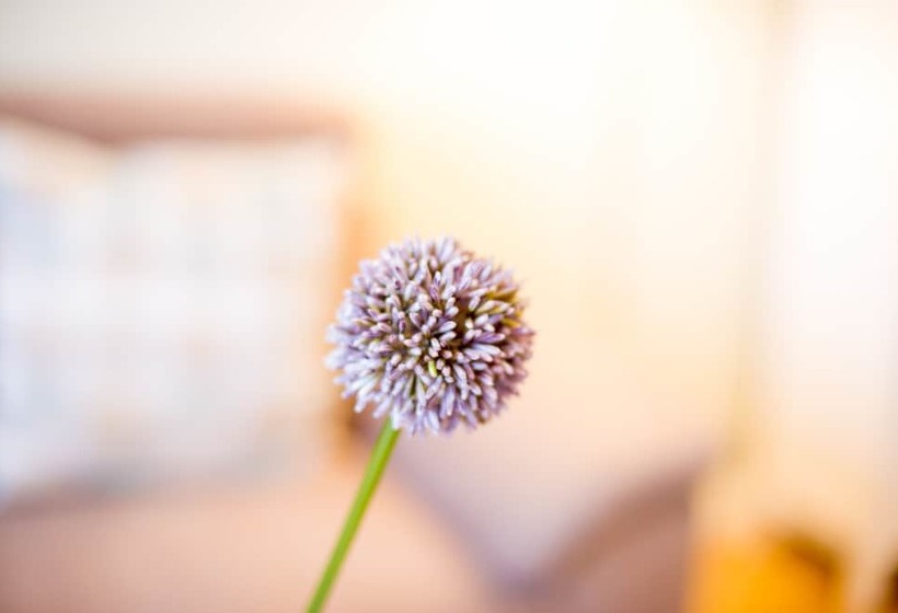 ペンション Gästehaus C.h.berres