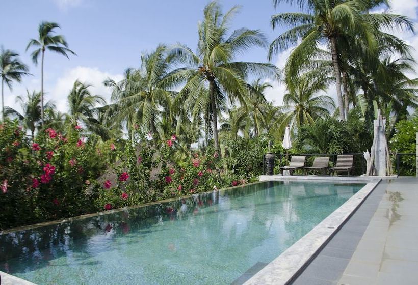 فندق Orchid Lodge