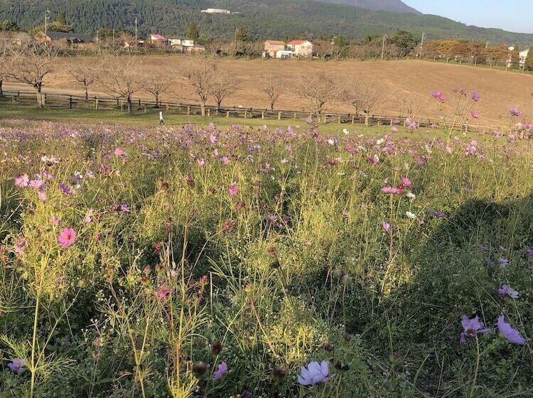 Рёкан Villa Montpetre