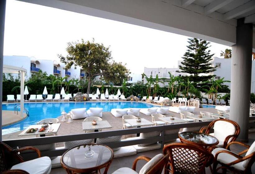 Palm Beach Hotel   Adults Only