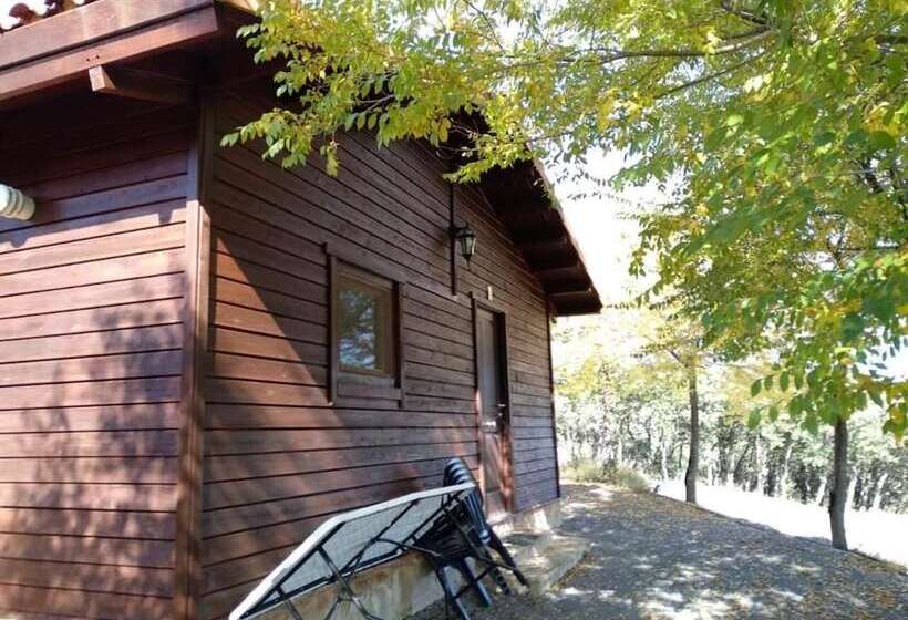 הוסטל Casa Fausto