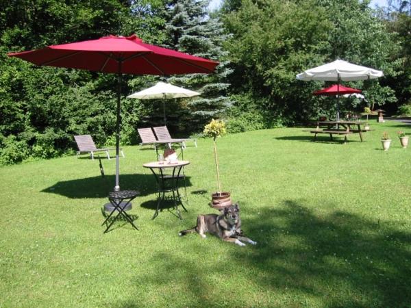 リゾートホテル Haus 1   Typ B