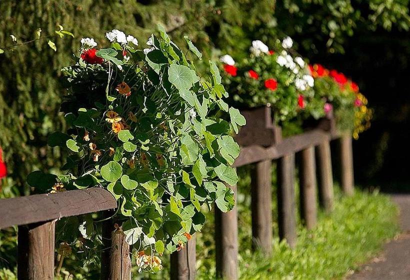 リゾートホテル Haus 1   Typ B