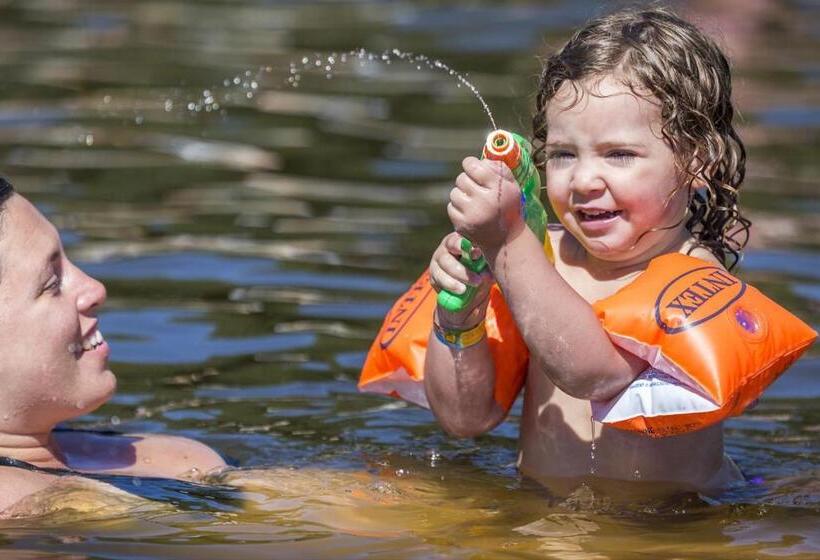 リゾートホテル Mb Noordiek Chalet