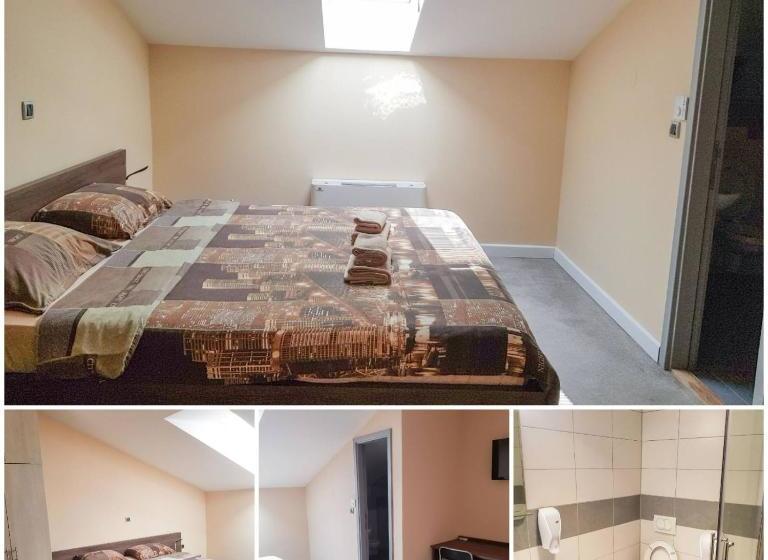 پانسیون Stari Slon