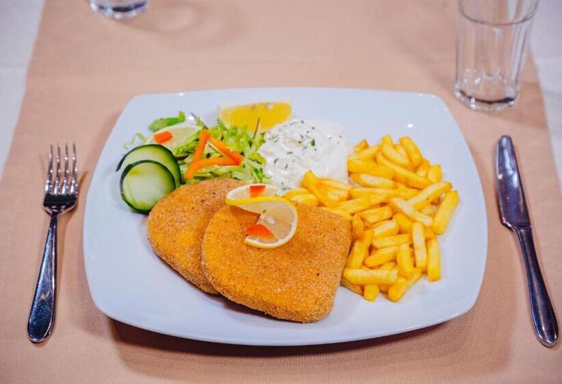 پانسیون Stari Slon