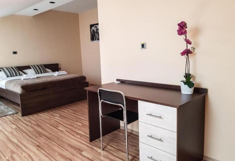 پانسیون Stari Slon