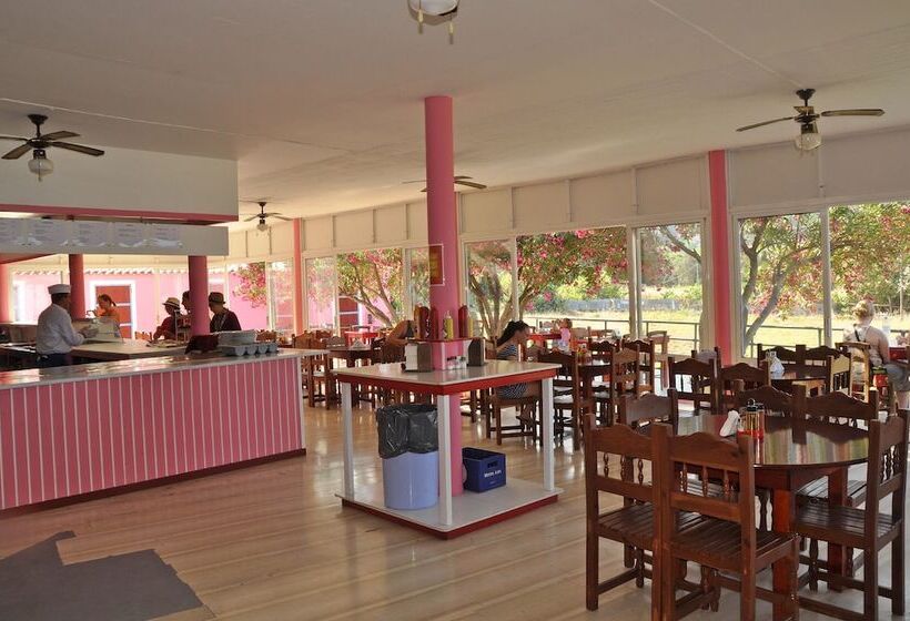 여관 Pink Palace Beach Resort