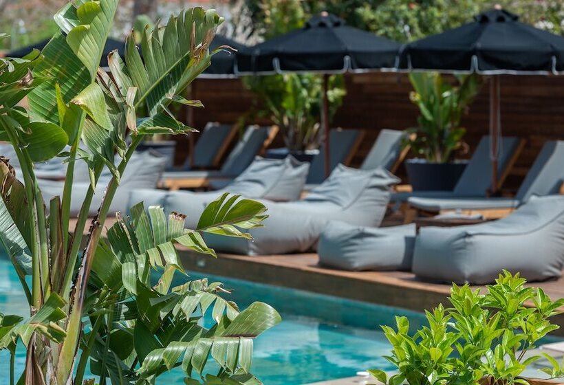 Bitzaro Palace Hotel   All Inclusive
